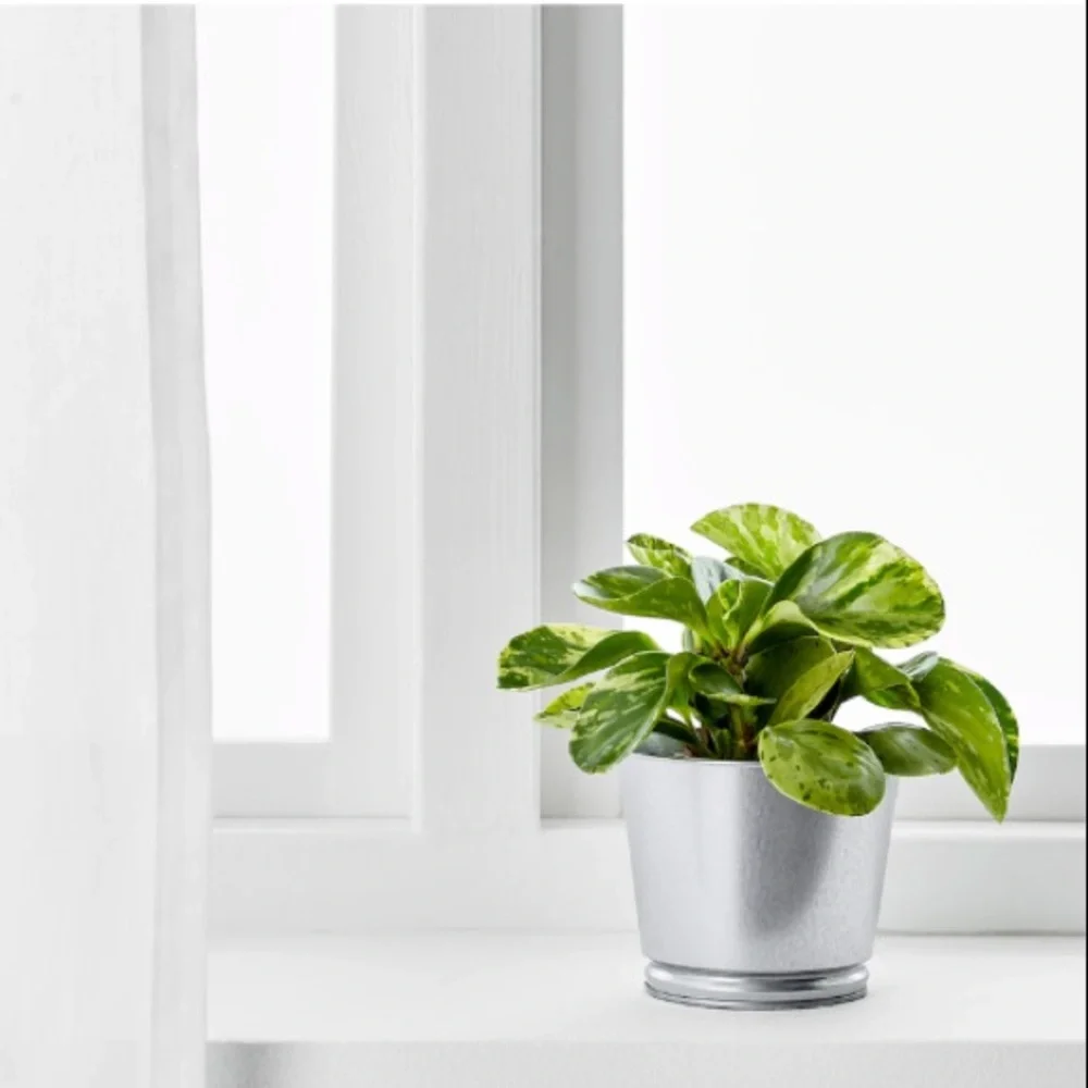 Ikea// metal planter